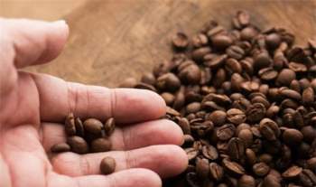 4 sai lầm trong bảo quản cà phê mà bạn vẫn hay làm