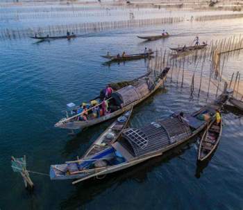 Phá Tam Giang say lòng du khách