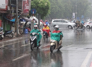 bac bo mua dong vung nui trung du bac bo co mua to