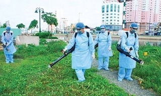 ha noi chu dong trien khai cac bien phap phong chong sot xuat huyet 198758