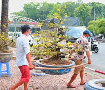 Chợ hoa Tết Sài Gòn ngày 30 Tết: Người bán buồn thiu chở hoa về… - ảnh 4
