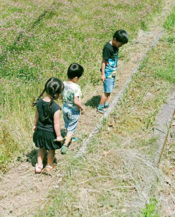 Từ thành phố chuyển về nông thôn ở nhà gỗ, gia đình Nhật Bản biến cuộc sống bình thường trở thành thiên đường! - Ảnh 13.