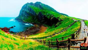 Đảo Jeju ( Hàn Quốc)