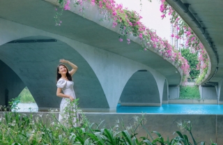 Gần Hà Nội lại có thêm một cây cầu hoa giấy, chụp lên ảnh đẹp như tranh vẽ - Ảnh 8.