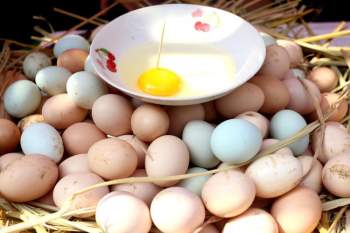 Khi mua trứng, hãy ghi nhớ 