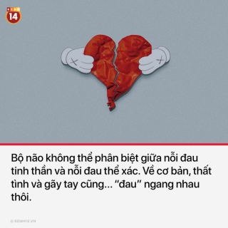 12 sự thật bất thường sẽ khiến bạn ngạc nhiên một chút về thế giới bình thường quanh ta - Ảnh 11.