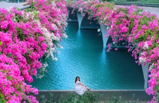 Gần Hà Nội lại có thêm một cây cầu hoa giấy, chụp lên ảnh đẹp như tranh vẽ - Ảnh 9.
