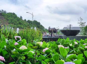 Thưởng thức ngàn hoa khoe sắc trên đồi cao tại lễ hội hoa Hạ Long - Ảnh 11.