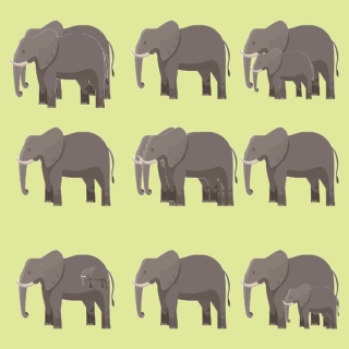 Thử độ tinh tường của thị giác: Bạn có thể nói đúng số lượng voi, sư tử... trong từng ảnh không? - Ảnh 5.