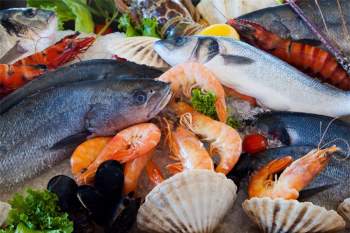Ăn hải sản cần thận trọng để tránh ngộ độc