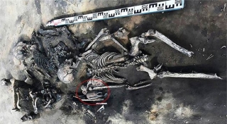 Bí ẩn 2 cặp nam nữ nằm úp lên nhau trong mộ cổ 5.000 năm - Ảnh 1.