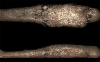 Bí ẩn về 'kén xác ướp' trong quan tài Ai Cập hơn 3.000 năm