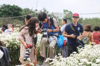 Biển người chen chân chụp ảnh cúc họa mi, chủ vườn ung dung “ngồi mát đếm tiền” - 9