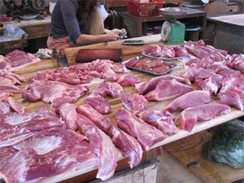 Một trong những điểm nhận biệt thịt lợn tăng trọng nhanh nhất là mùi Thu*c kháng sinh nặng nề trong thịt