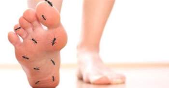 Cảm giác kiến bò ở bàn chân là dấu hiểu của bệnh gì?