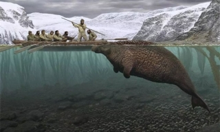 Chỉ mất 27 năm từ khi phát hiện ra đến khi tuyệt chủng, chuyện gì đã xảy ra với con vật khổng lồ dưới biển này? - Ảnh 1.
