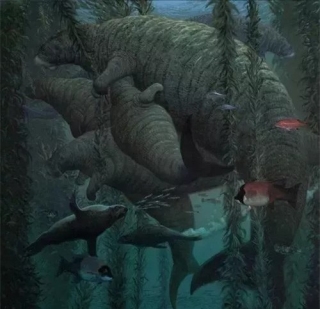 Chỉ mất 27 năm từ khi phát hiện ra đến khi tuyệt chủng, chuyện gì đã xảy ra với con vật khổng lồ dưới biển này? - Ảnh 15.