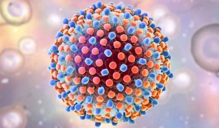 Hình ảnh mô phỏng virus gây bệnh viêm gan C.