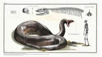 Điểm tên những loài bò sát khổng lồ từng xơi tái cả cá voi tiền sử - Ảnh 1.
