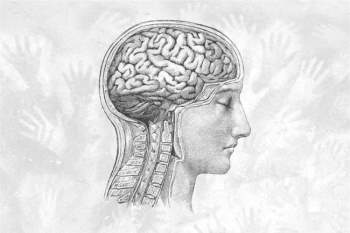 Dữ liệu cho thấy từ Thời Đồ đá tới nay, não con người đang teo nhỏ lại - Ảnh 3.
