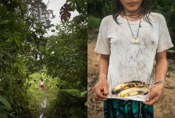 Giat minh mon an “di thuong” cua bo lac trong rung gia Amazon-Hinh-3