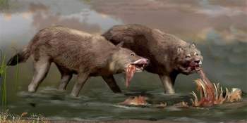 Giới nghiên cứu đã nhầm, Dire Wolves hoàn toàn không phải là sói - Ảnh 2.