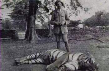 Hổ dữ quỷ quyệt, ăn thịt tổng cộng 436 người, chỉ khi bị bắn hạ mới tìm được nguyên nhân nó nhắm vào con người - Ảnh 6.