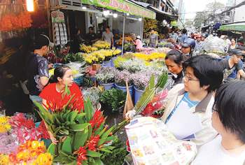 Hoa ngày xuân