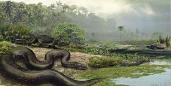 Huyền thoại loài rắn quái vật từng thống trị Colombia thời tiền sử - 2
