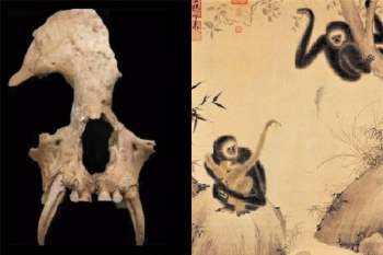 Khai quật lăng mộ bà nội Tần Thủy Hoàng, chuyên gia sửng sốt khi phát hiện những thứ bên trong - Ảnh 5.