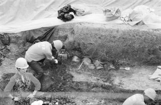 Khai quật thủy mộ độc nhất vô nhị tại Trung Quốc: Những thứ bên trong khiến giới khảo cổ kinh ngạc - Ảnh 5.