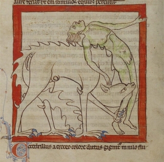 Khi họa sĩ thời Trung Cổ trổ tài vẽ lại động vật qua lời kể, con nào cũng sai trái hết hồn luôn - Ảnh 15.