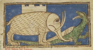 Khi họa sĩ thời Trung Cổ trổ tài vẽ lại động vật qua lời kể, con nào cũng sai trái hết hồn luôn - Ảnh 8.