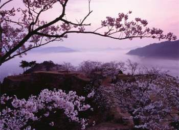 Trong khi mùa thu từ tháng 9 đến tháng 11 được cho là thời điểm tốt nhất để viếng thăm lâu đài trên mây. Vào mùa này, hoa anh đào bắt đầu nở, một màu hồng sáng tinh khôi ánh lên trên lâu đài, vẻ đẹp này còn tượng trưng cho cuộc sống và sức mạnh của các chiến binh samurai. 