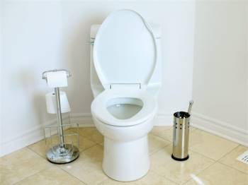 Vào thời kỳ sơ khai, nhà vệ sinh được xem là 1 phát minh mới