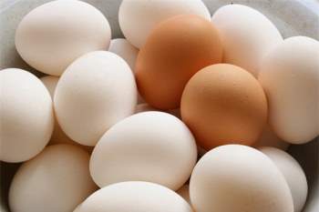 vỏ trứng gà có công dụng chữa bệnh thần kỳ mà không phải ai cũng biết.