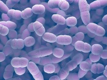 Bội nhiễm phế cầu khuẩn là nguyên nhân gây Tu vong do cúm.