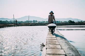 Từ 4 giờ sáng, người dân làm muối ở Long Điền đã bắt đầu lao động. Mãi tới tối mịt họ mới được về nhà. Ảnh: Nguyễn Hoàng Phi.