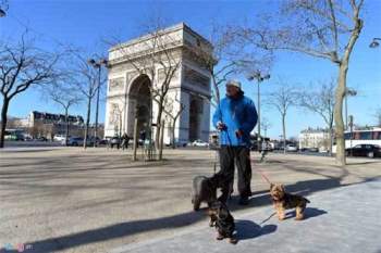 Một vòng các địa danh nổi tiếng thế giới ở Paris