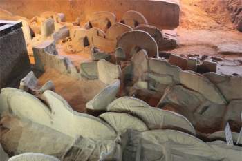 Ngôi mộ đế vương chôn theo 600 con chiến mã: Kiểm tra hộp sọ bất ngờ phát hiện phương pháp hiến tế tàn bạo - Ảnh 1.