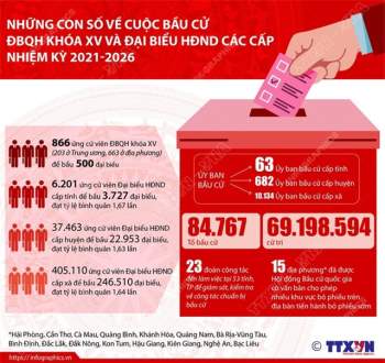 [Infographic] Những con số về cuộc bầu cử ĐBQH khóa XV và đại biểu HĐND các cấp - Ảnh 1.