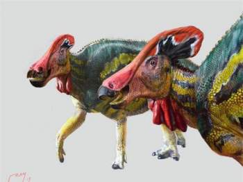 Phát hiện loài khủng long... biết nói sống ở Mexico 72 triệu năm trước - Ảnh 1.