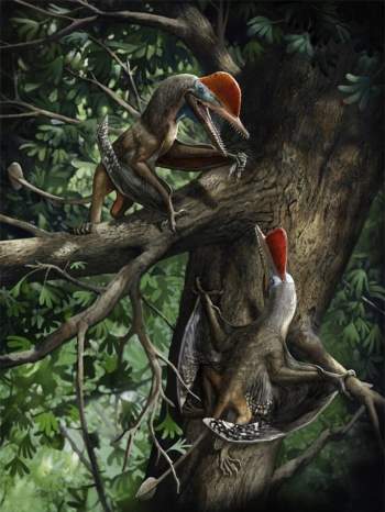 Quái thú bay kỷ Jura mang trên cơ thể thứ giống con người - Ảnh 1.