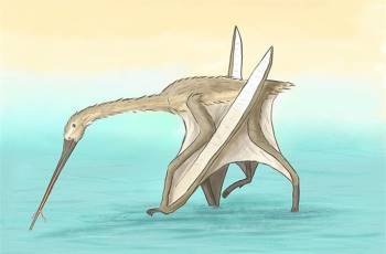 Quái thú đầu cò, mình khủng long, cánh dơi xuất hiện ở Thổ Nhĩ Kỳ - Ảnh 1.