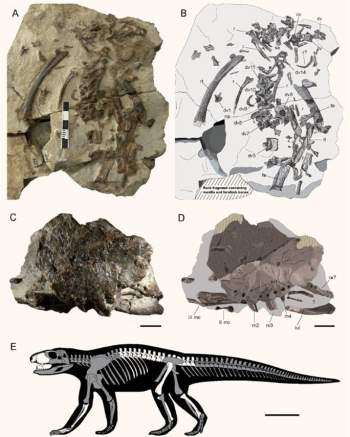 Sinh vật kinh dị 71 triệu tuổi khiến siêu khủng long phải khiếp sợ - Ảnh 2.