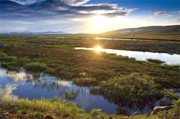 Cảnh chiều tà rực rỡ ở vùng Hardangervidda.