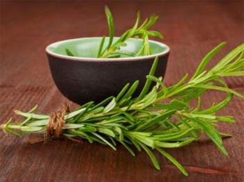 Tác dụng tuyệt vời của cây hương thảo đối với sức khỏe