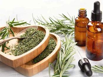 Tác dụng tuyệt vời của cây hương thảo đối với sức khỏe