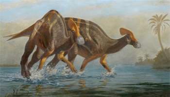 Phát hiện hóa thạch 72 triệu năm của khủng long mỏ vịt có mào dài hơn 1,3 m - Ảnh 1.