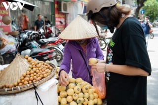 ky la cay thi nghin nam tuoi va thu qua 